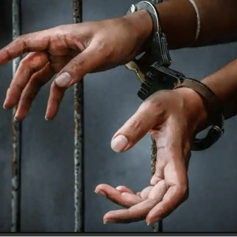 Screenshot 2020-12-08 153207