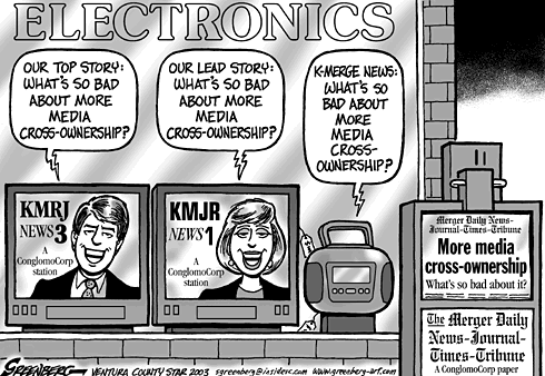 MediaOwnership picture (1)